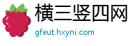 横三竖四网